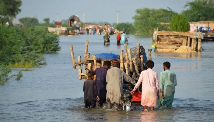 پاکستانی سیلاب متاثرین کی مدد کی جائے، کرکٹ آسٹریلیا کی مہم