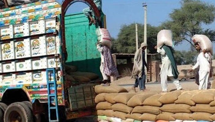 وفاق سے پنجاب کو آئندہ ماہ سے گندم فراہمی شروع ہونے کا امکان
