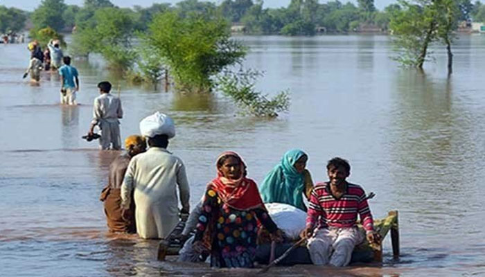 سیلاب سے نقصان، سندھ حکومت کا مشترکہ سروے کرانے کا فیصلہ