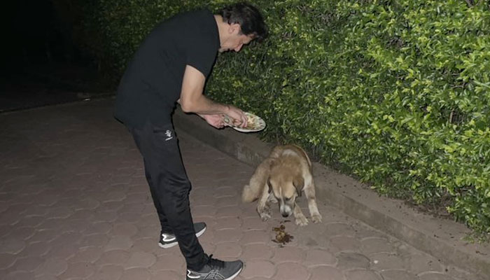 وارنٹ گرفتاری جاری ہونے کے بعد شبلی نے عمران خان کی کتے کو کھانا کھلانے کی تصویر شیئر کردی