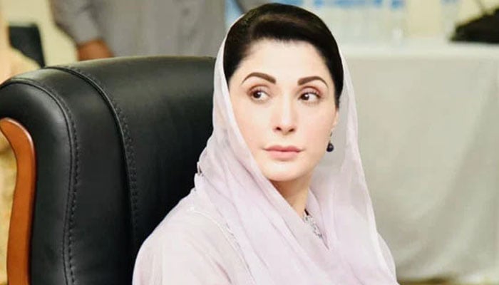 ہارس ٹریڈنگ کا الزام لگانے والے نے خود منڈیا سجا رکھی تھیں، مریم نواز