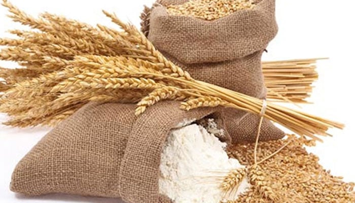 اوپن مارکیٹ چکی آٹا گندم کی قیمت میں تین سو روپے کا اضافہ