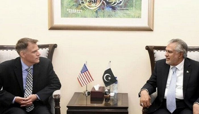 امریکا IMF کو ہم سے نرم رویہ رکھنے پر قائل کرنے کیلئے سفارتی اثر رسوخ استعمال کرے، پاکستان