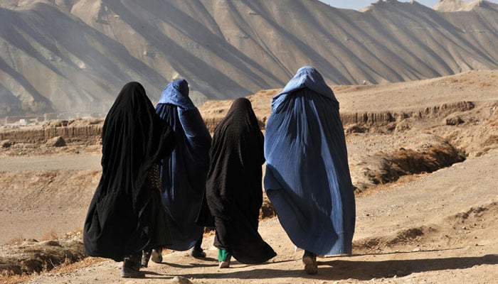 افغانستان میں خواتین کو خطرات لاحق ہیں، یورپی یونین ایجنسی