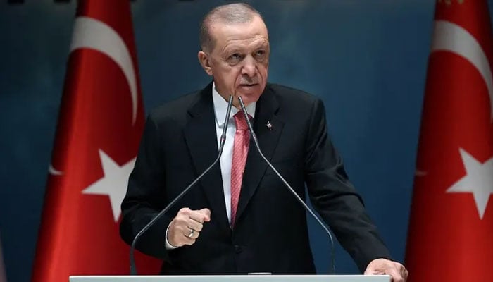 استنبول میں یورپی قونصلیٹس کی بندش انتخابات میں مداخلت کی کوشش ہے، ترکیہ
