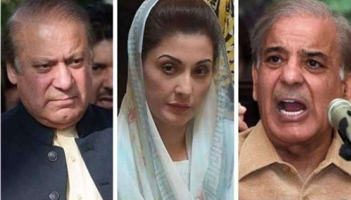 نواز شریف کا شہباز اور مریم سے ٹیلی فونک رابطہ، ن لیگ کا پنجاب کی تمام نشستوں پر امیدوار کھڑے کرنے کا فیصلہ