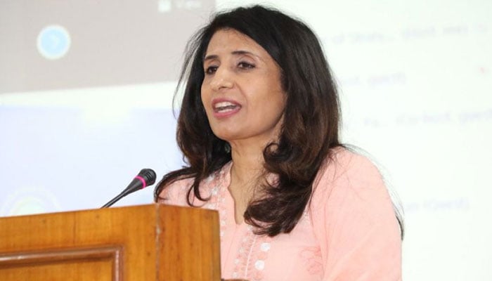 بیرونی مداخلت اور بیانات پاکستان کا جمہوری عمل متاثر نہیں کرسکتے، دفتر خارجہ