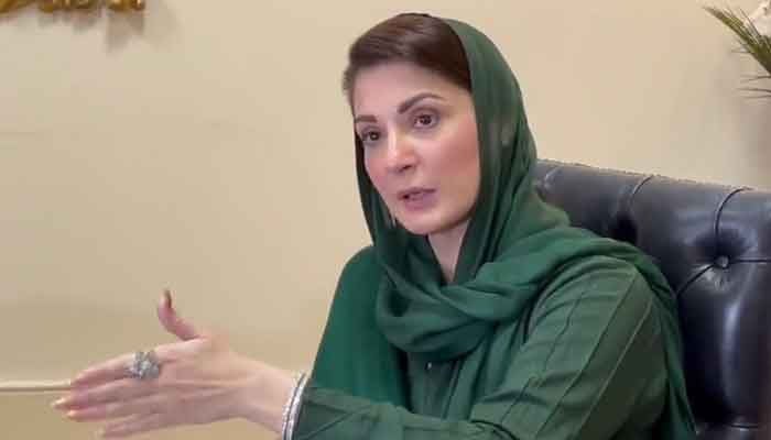 مریم نواز کتنے اثاثوں کی مالک ہیں، تفصیلات الیکشن کمیشن میں جمع