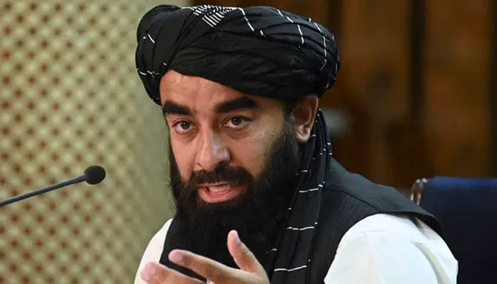 طالبان نے چترال حملے میں افغان سرزمین کے استعمال کی تردید کردی