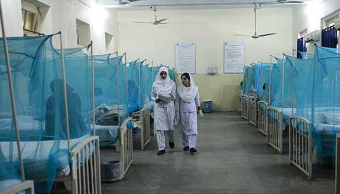 سندھ، رواں سال ملیریا کے 3 لاکھ، ڈینگی کے ایک ہزار سے زائد کیسز رپورٹ