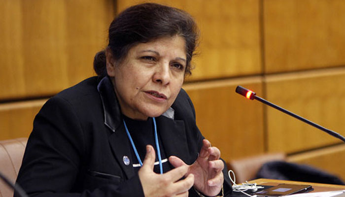 مہنگائی نیچے آرہی ہے، معاشی بحران صرف پاکستان میں نہیں، نگراں وزیر خزانہ