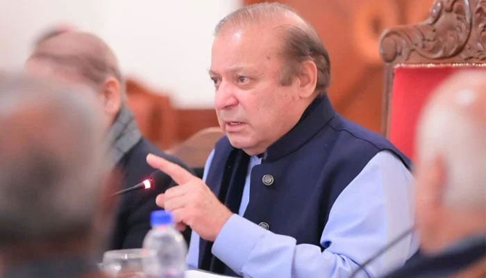 ہمارے خلاف سازش کی کیا ضرورت تھی، کروڑوں کے نمائندہ وزیراعظم کو 5 بندوں نے اٹھاکر پھینکا، بالکل ایسے جیسے کلہاڑا چلا دیا، نوازشریف