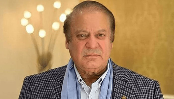 میاں نواز شریف کی بریت جمہورت کی فتح ہے، رہنما ن لیگ ہالینڈ