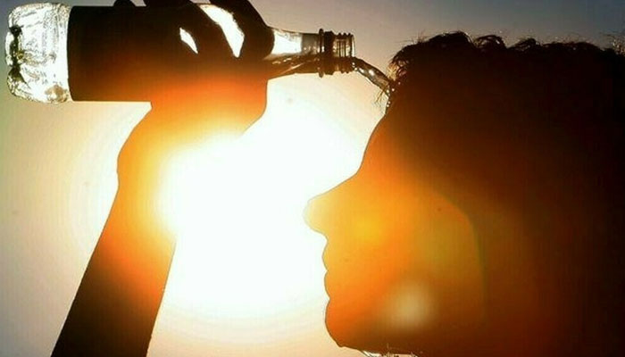 سڈنی، درجہ حرارت تین سال کی بلند ترین سطح پر، جھاڑیوں میں آتشزدگی