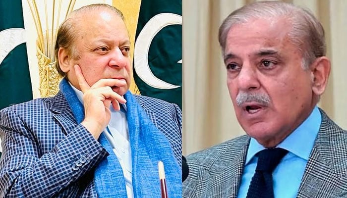 نواز شریف، شہباز شریف قومی اسمبلی کیلئے ’’شیر‘‘ پر مہر نہ لگا سکیں گے