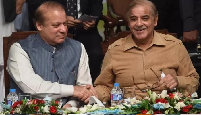 توقع سے کم سیٹیں، نواز شریف کی بجائے شہباز وزیراعظم ہونگے، تجزیہ کار