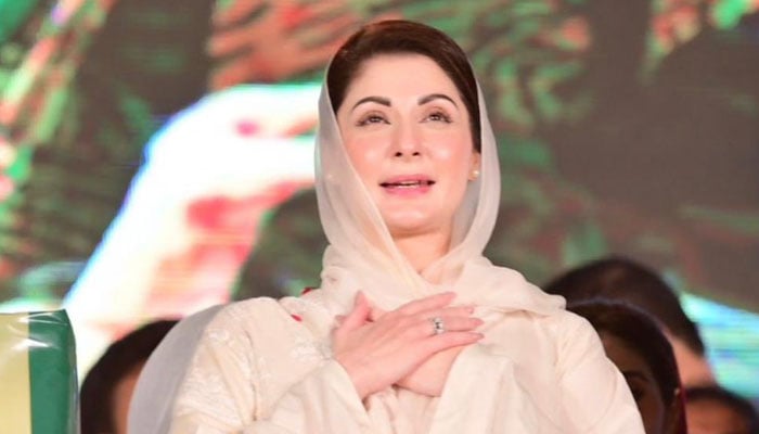 مریم نواز ملک کی تاریخ میں پنجاب کی پہلی خاتون وزیراعلیٰ ہونگی