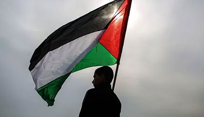 تماشائیوں نے فلسطینی پرچم لہرا دیا