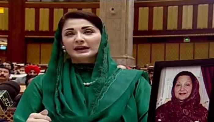 مریم نواز نے پیغام دیا عورت ہونا کمزوری نہیں طاقت ہے، تجزیہ کار