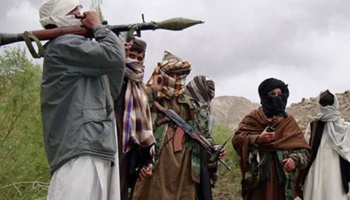 دہشت گردی میں افغان باشندوں کے ملوث ہونے کی تصدیق