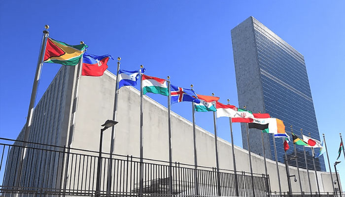 اقوام متحدہ کا کمیشن مقبوضہ کشمیر میں بھارتی افواج کی خونریزی رکوائے، مقررین
