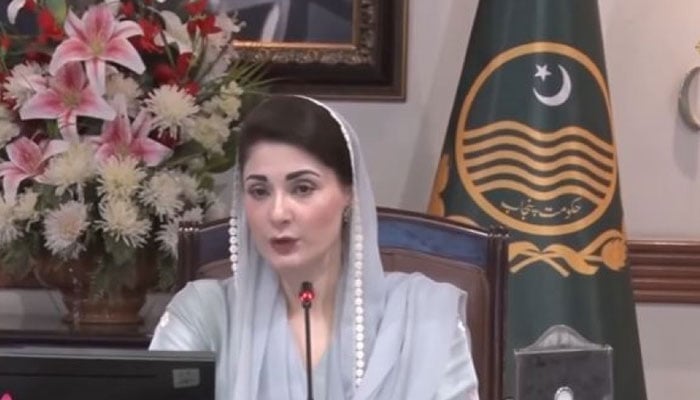 چینی باشندوں کیلئے VVIP سیکورٹی، نیشنل ایکشن پلان پوری طاقت سے نافذ کریں گے، وزیراعلیٰ مریم نواز