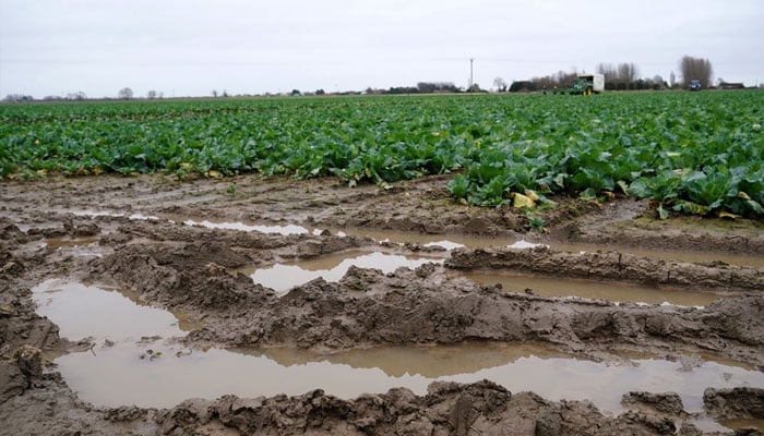 گیلے موسم کی وجہ سے 82 فیصد متاثر ہونے پر کسانوں کا اعتماد اب تک کی کم ترین سطح پر آگیا