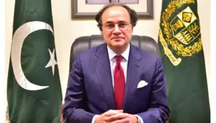 دسمبر 2024 تک ملکی سطح پر گرین سکوک بانڈز جاری کئے جائیں گے، وزیر خزانہ
