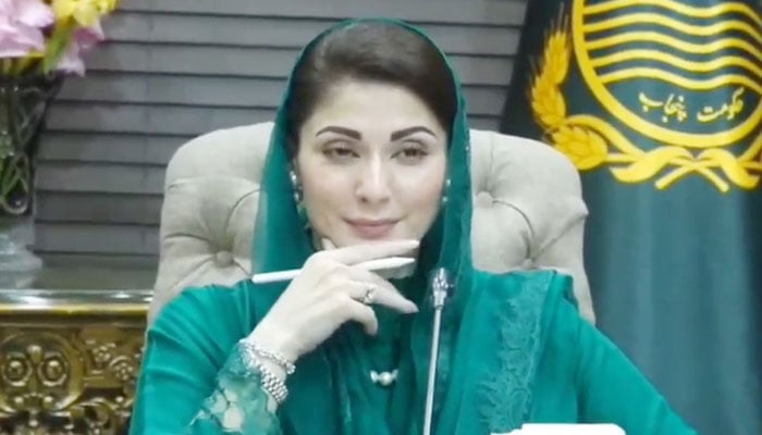 پنجاب جنسی زیادتی کی سزا 15 سال تک بڑھانے کا جائزہ، مریم نواز