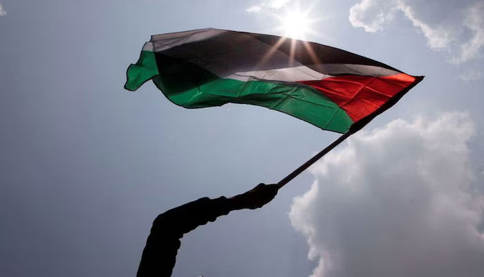 پاک انگلینڈ خواتین میچ، پی ٹی آئی اور فلسطینی پرچموں پر پابندی