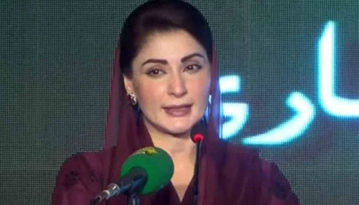 ملک چلنے دیں، رخنہ ڈالا تو آہنی ہاتھوں سے نمٹیں گے، مریم نواز