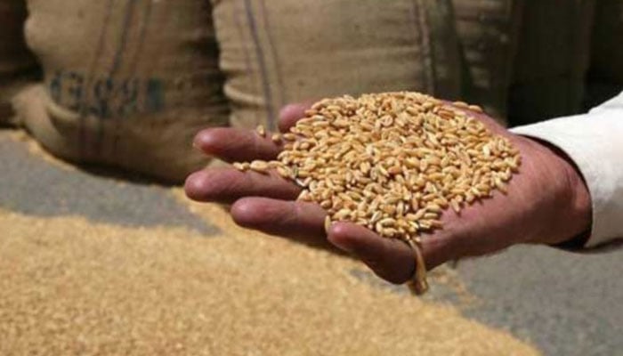 کسانوں سے گندم کی خریداری پاسکو سے لیکر نجی شعبہ کو دینے کی تجویز