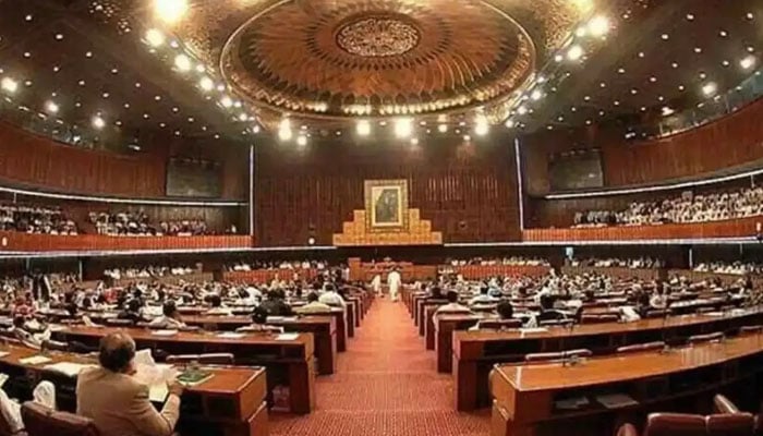 انتخابی ترمیمی بل 2024 کی منظوری؛ کیا اثرات مرتب ہونگے؟