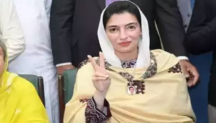 پاک امارات دیرینہ، مضبوط تعلقات کئی دہائیوں پر محیط ہیں، آصفہ بھٹو