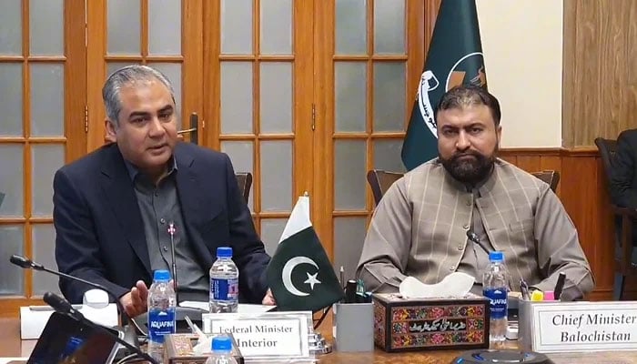 آپریشن نہیں، دہشت گرد ایک SHO کی مار ہیں، وزیر داخلہ