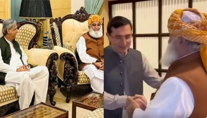 حکومت اپوزیشن دونوں مولانا کے در پر، فضل الرحمٰن نے کہا پہلے سوچنا تھا، تجزیہ کار