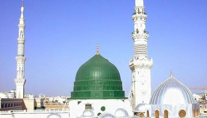 اللّٰہ تعالیٰ نے اپنے حبیب ﷺ کو درگزر اور بھلائی کرنے کا حکم دیا، حسن محی الدین