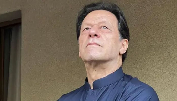 جیل میں عمران خان کو صحت کا کوئی مسئلہ درپیش نہیں