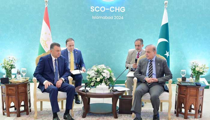 وزیراعظم کے SCO رکن ممالک کے وفود سے تجارت، سرمایہ کاری، توانائی، علاقائی روابطہ، زرعی مشینری سمیت مختلف شعبوں میں تعاون بڑھانے پر مذاکرات