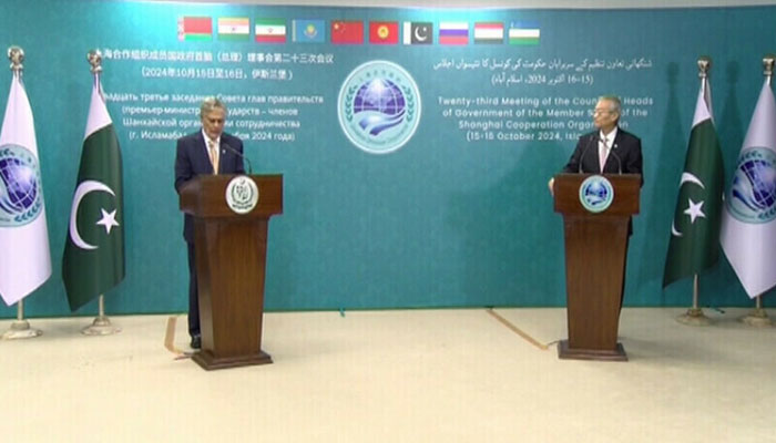 SCO معاشی ترقی سے فریم ورک طے کرنے کیلئے نئے شعبوں کا قیام ضروری، ڈار