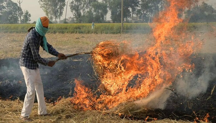 فصلوں کی باقیات جلانے پر بھارت میں 16 کسان، پاکستان میں 71 افراد گرفتار