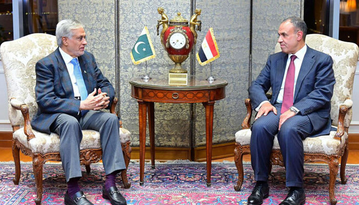 پاکستان اور مصر کا غزہ میں فوری جنگ بندی کا مطالبہ