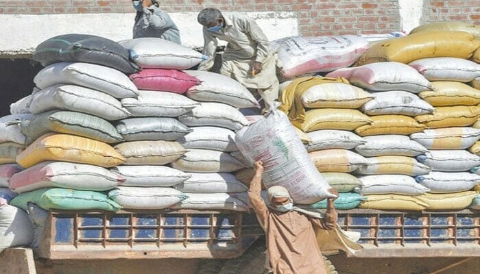 پاکستانی چاول کی برآمدات میں GMO بیجوں کی آلودگی کے دعوے بے بنیاد ہیں، وزارتِ قومی غذائی تحفظ و تحقیق