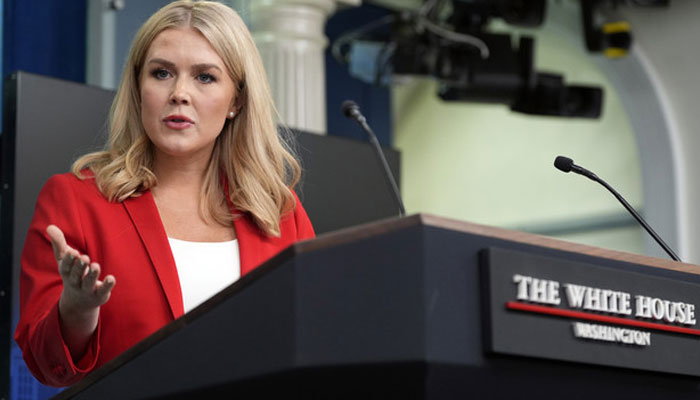 غیر منتخب مسک ٹرمپ کے پہلے کابینہ اجلاس میں شریک ہونگے