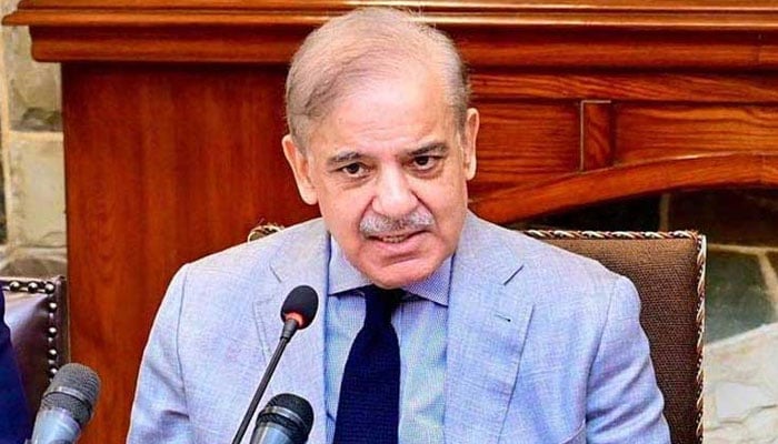 نیلم جہلم پلانٹ مئی 2024ء سے بند،  وزیراعظم کی طرف سے کمیٹی تشکیل