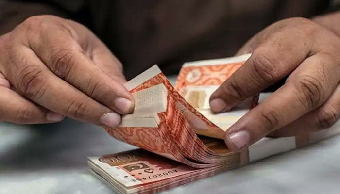 4 ارب کا فراڈ، 65 مقدمات، فراڈیہ خاتون گرفتار نہ ہوسکی