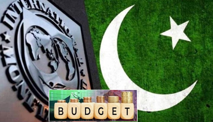 بجٹ میں تنخواہ داروں کے ٹیکسوں میں کٹوتی IMF کی منظوری سے مشروط، ایک کروڑ کی جائیداد خریداری پر ذرائع آمدنی بتانے کا بل موخر