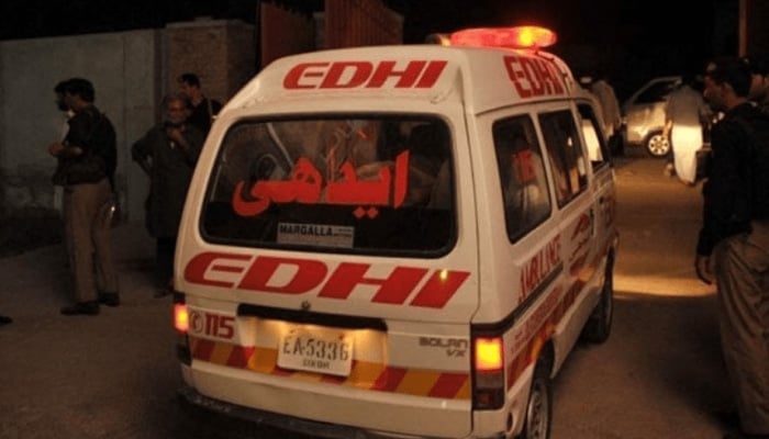 جھگڑوں کا شاخسانہ، سسر نے ڈنڈوں کے وار سے داماد، شوہر نے بیوی قتل کردی