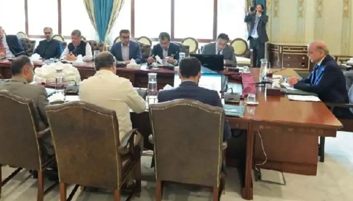 عنقریب بجلی کی پیداوار کیلئے فری مارکیٹ قائم کی جائے گی، نرخ مزید کم ہونگے، وزیراعظم