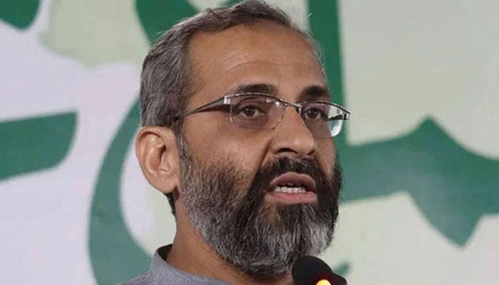 پارکس کو قابض مافیا سے بچانے کیلئے ہر ممکن جدوجہد کریں گے، منعم ظفر